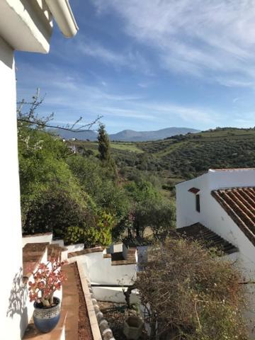 Couette-café Cortijo Loma Leon