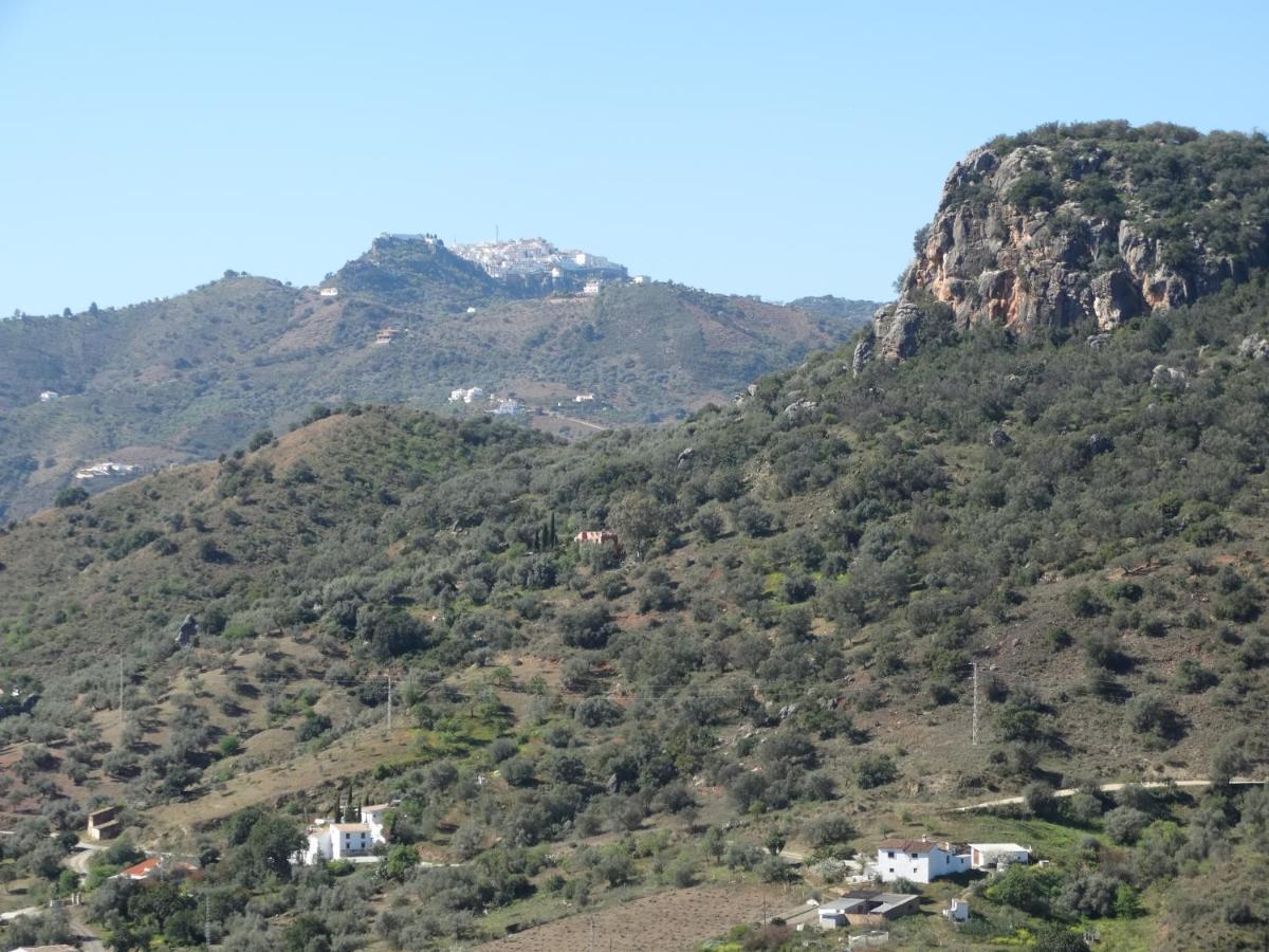Cortijo Loma Leon * Cutar
