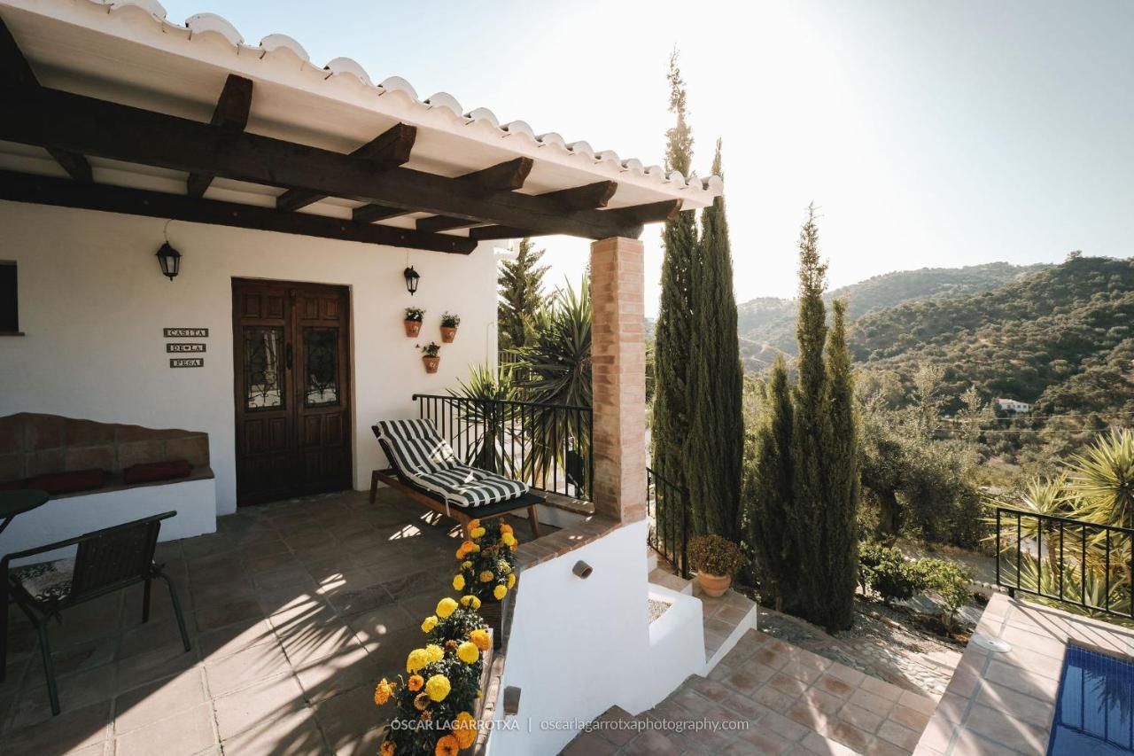 Couette-café Cortijo Loma Leon